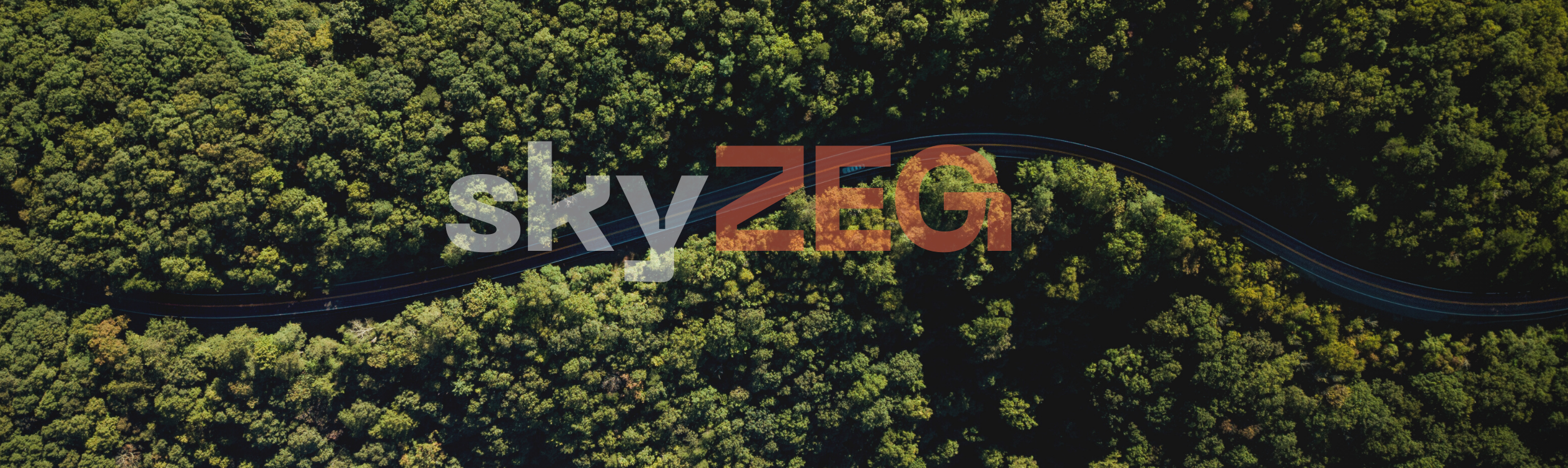 Trip Banner
