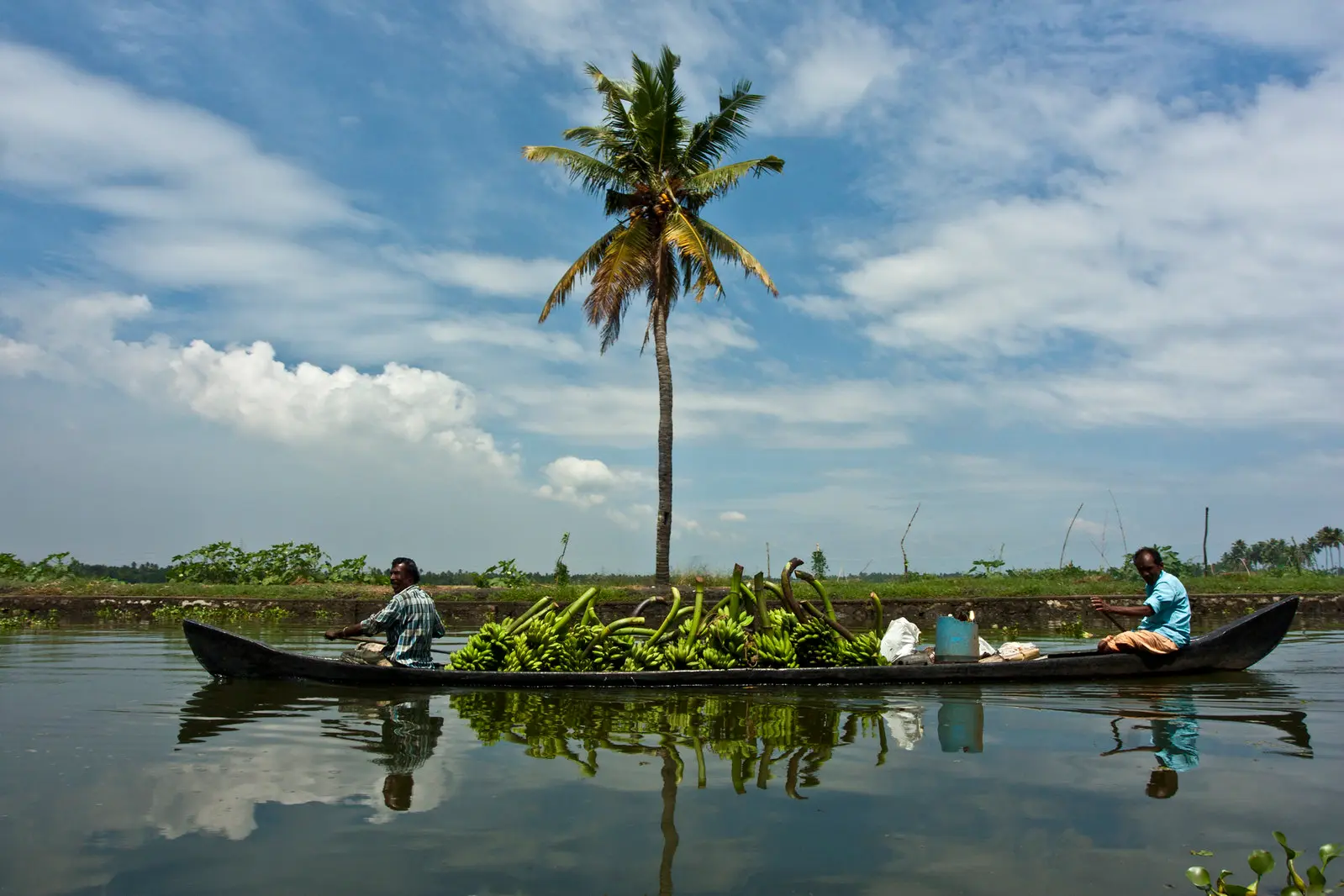 Kerala Landscapes and Marari Beach