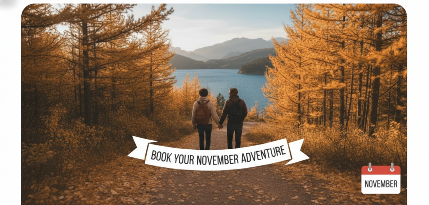 Discover November